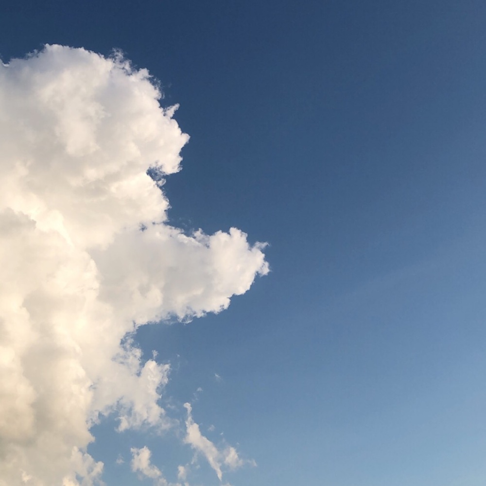 Meet your Posher, Emy